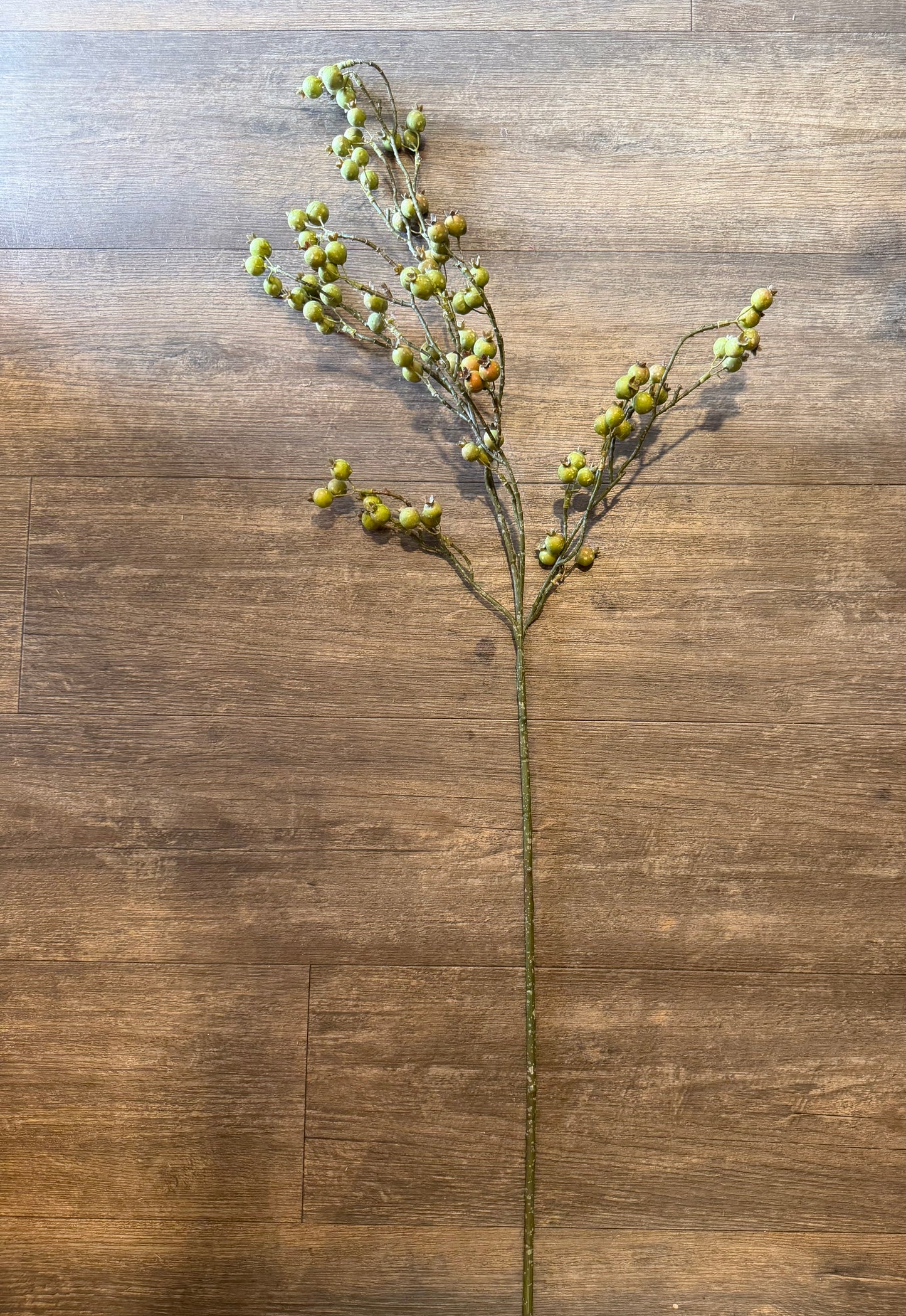 Seidenblume grüne Heidelbeeren am Ast