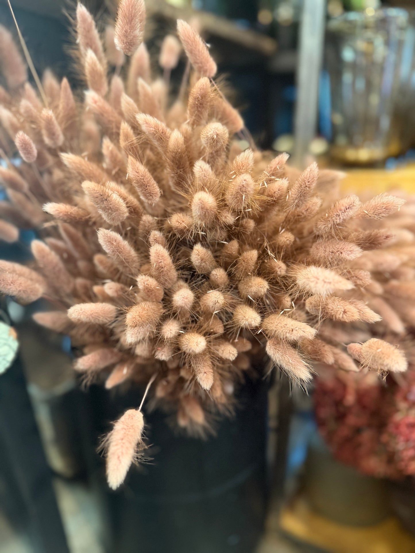 Bund Hasenpfötchen in dunkel Beige