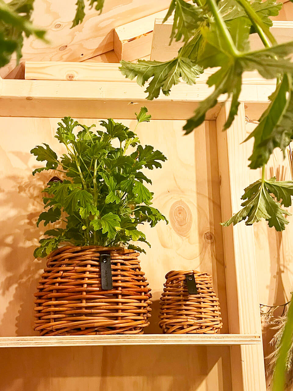 3er Set A2 Living Rattan Körbe "Lacak " Bowl