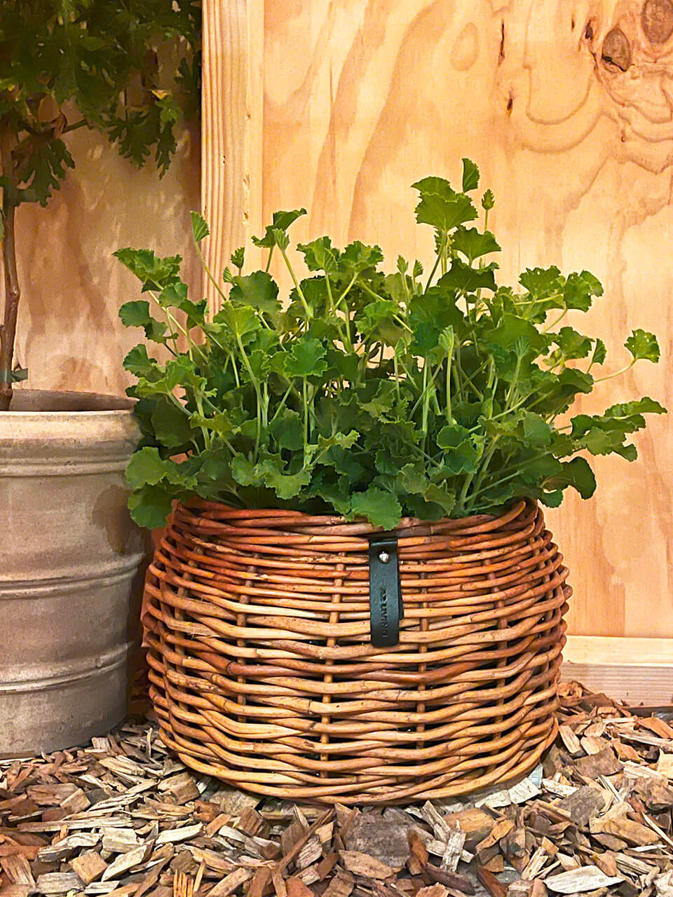 3er Set A2 Living Rattan Körbe "Lacak " Bowl