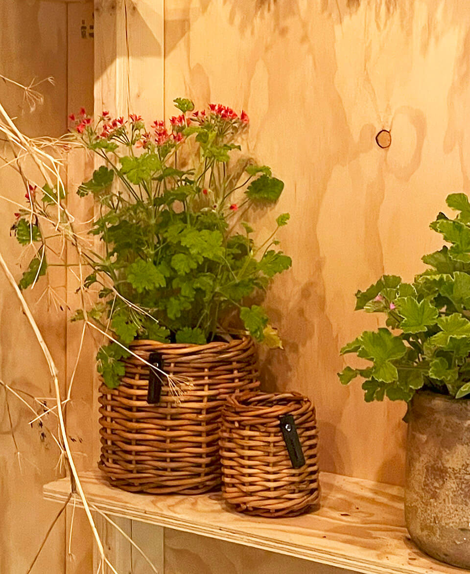 3er Set A2 Living Rattan Körbe "Lacak " Bowl