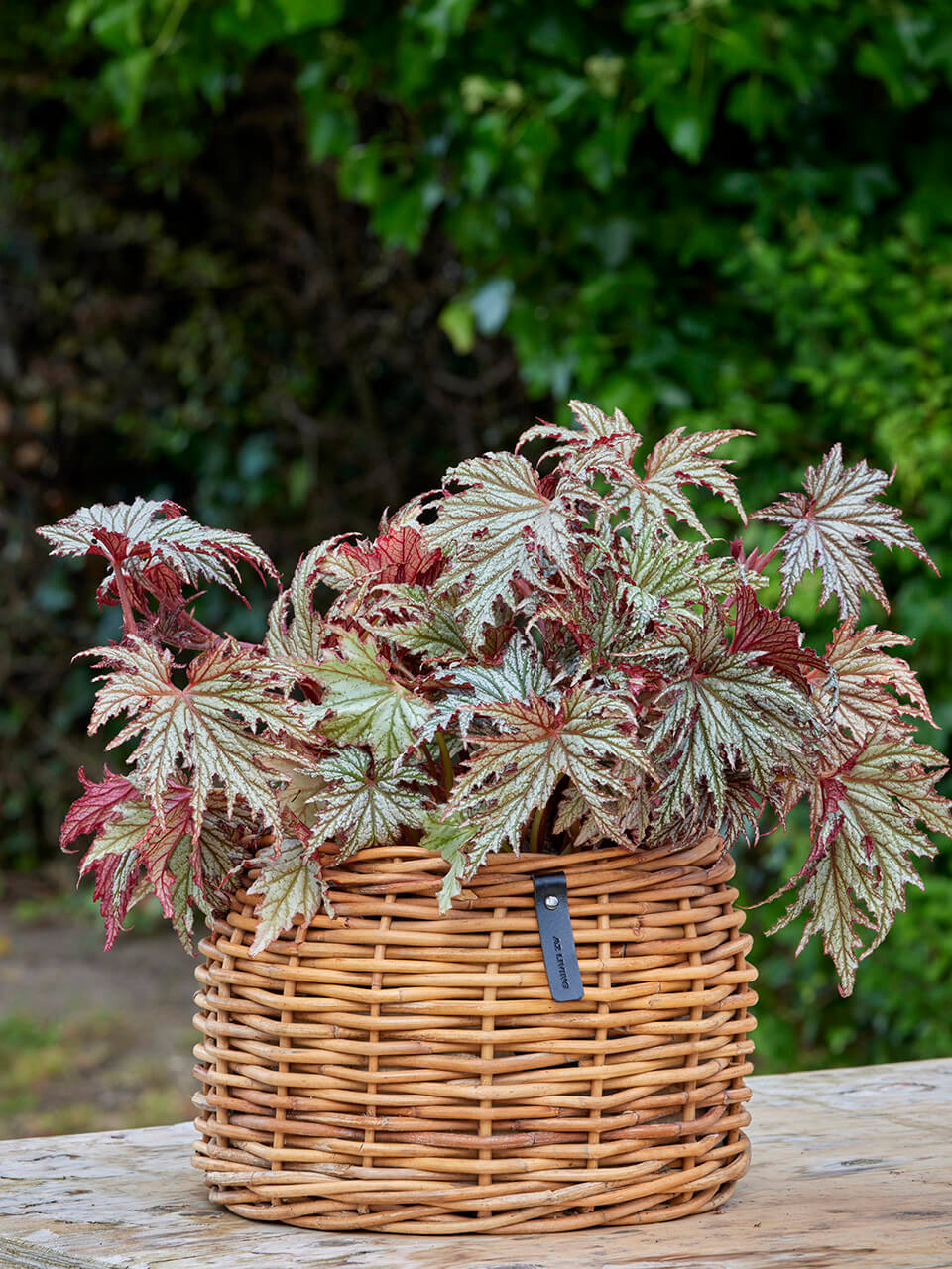 3er Set A2 Living Rattan Körbe "Lacak " Bowl
