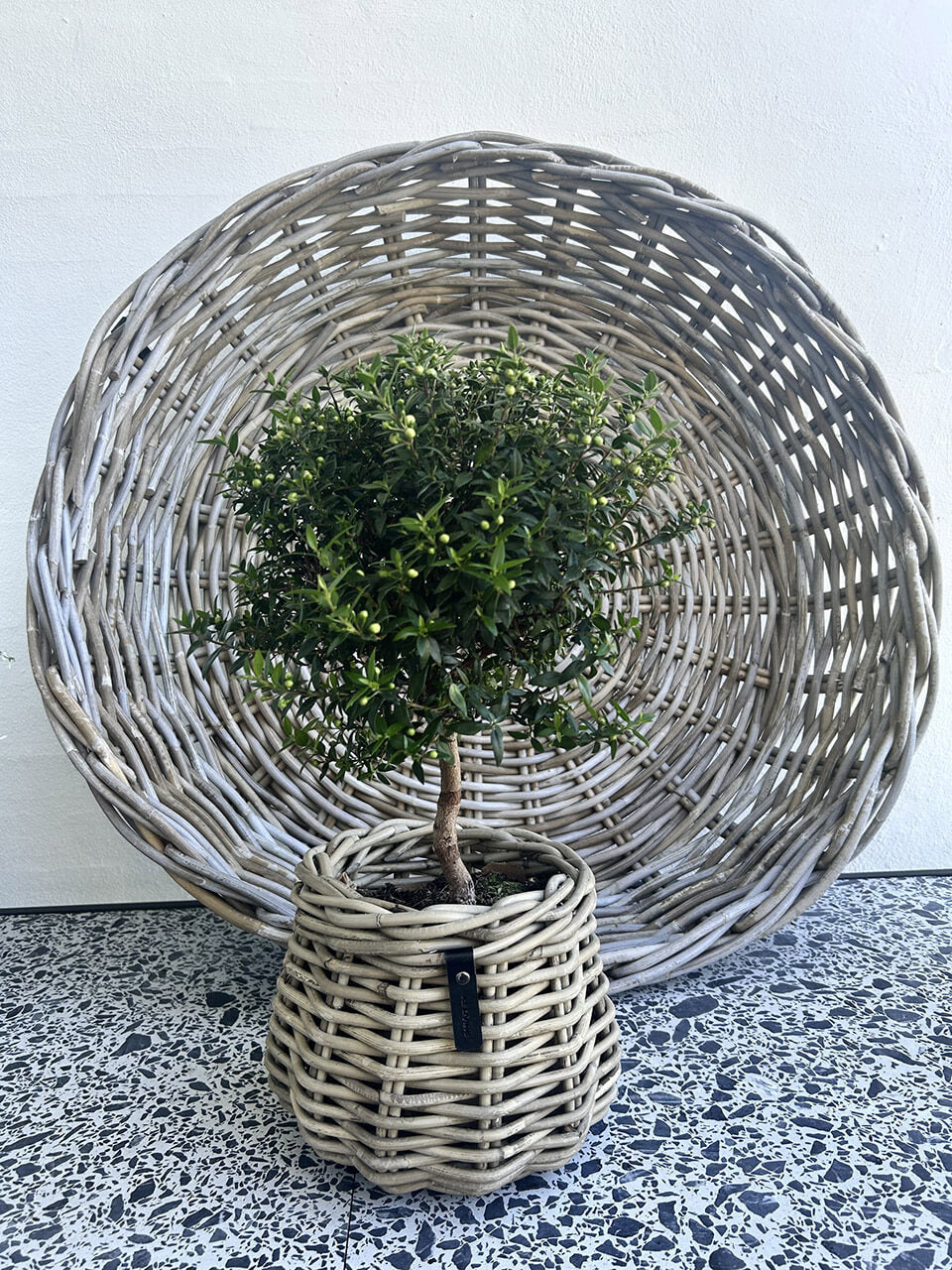 Kubu Rattankorb Pear von A2 Livinbg