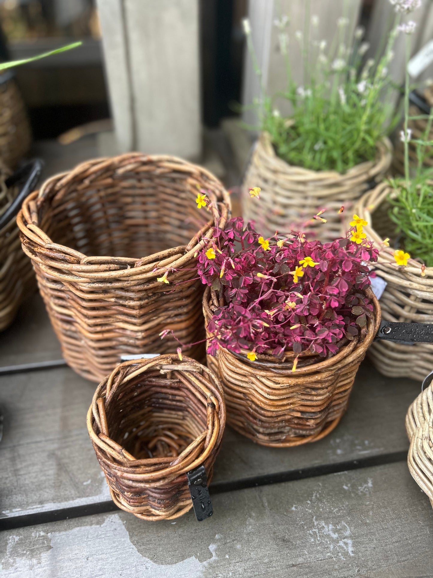 3er Set A2 Living Rattan Körbe "Sarang" Rund