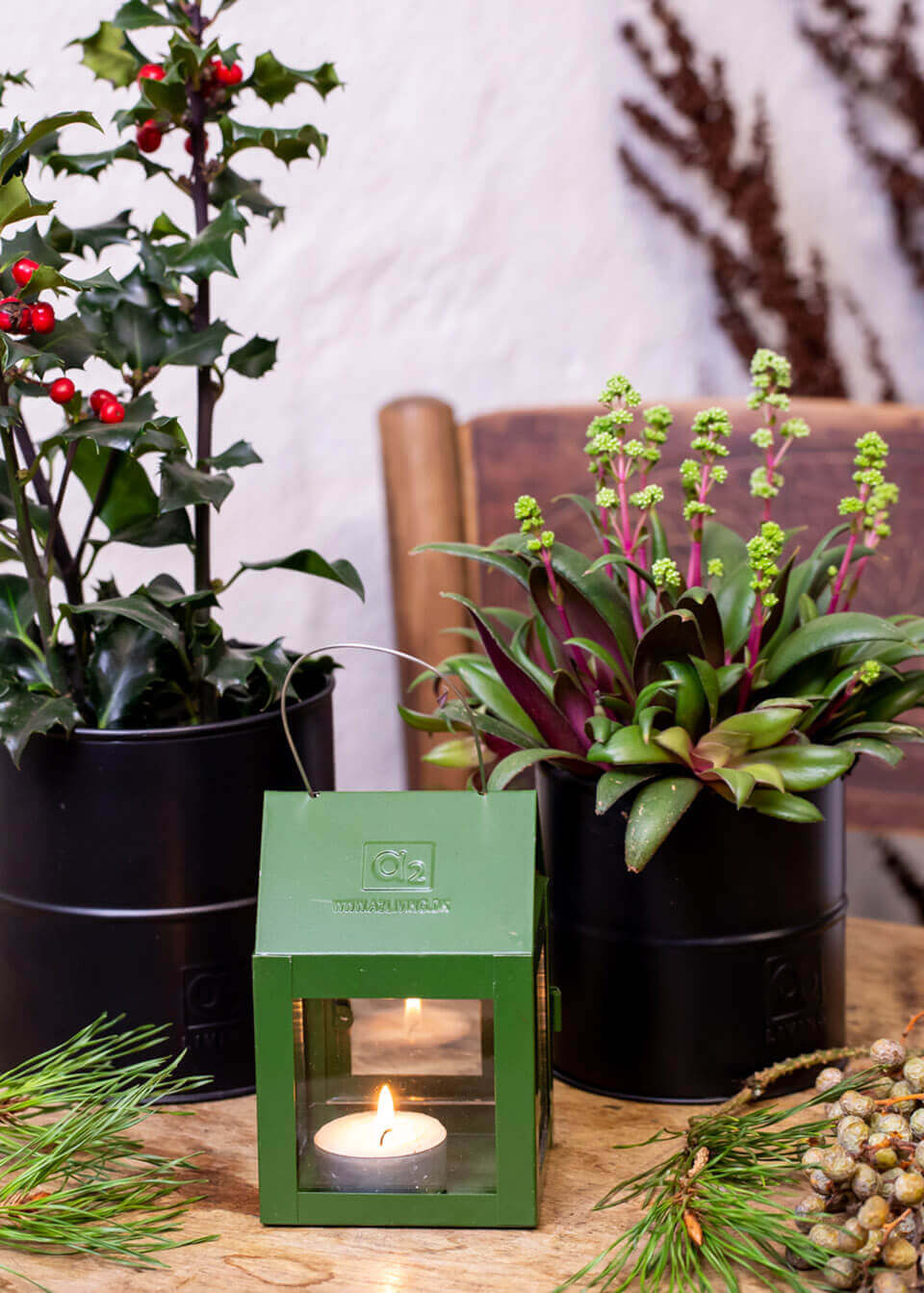 A2 Living Mini Hänge Laterne in Olive Grün