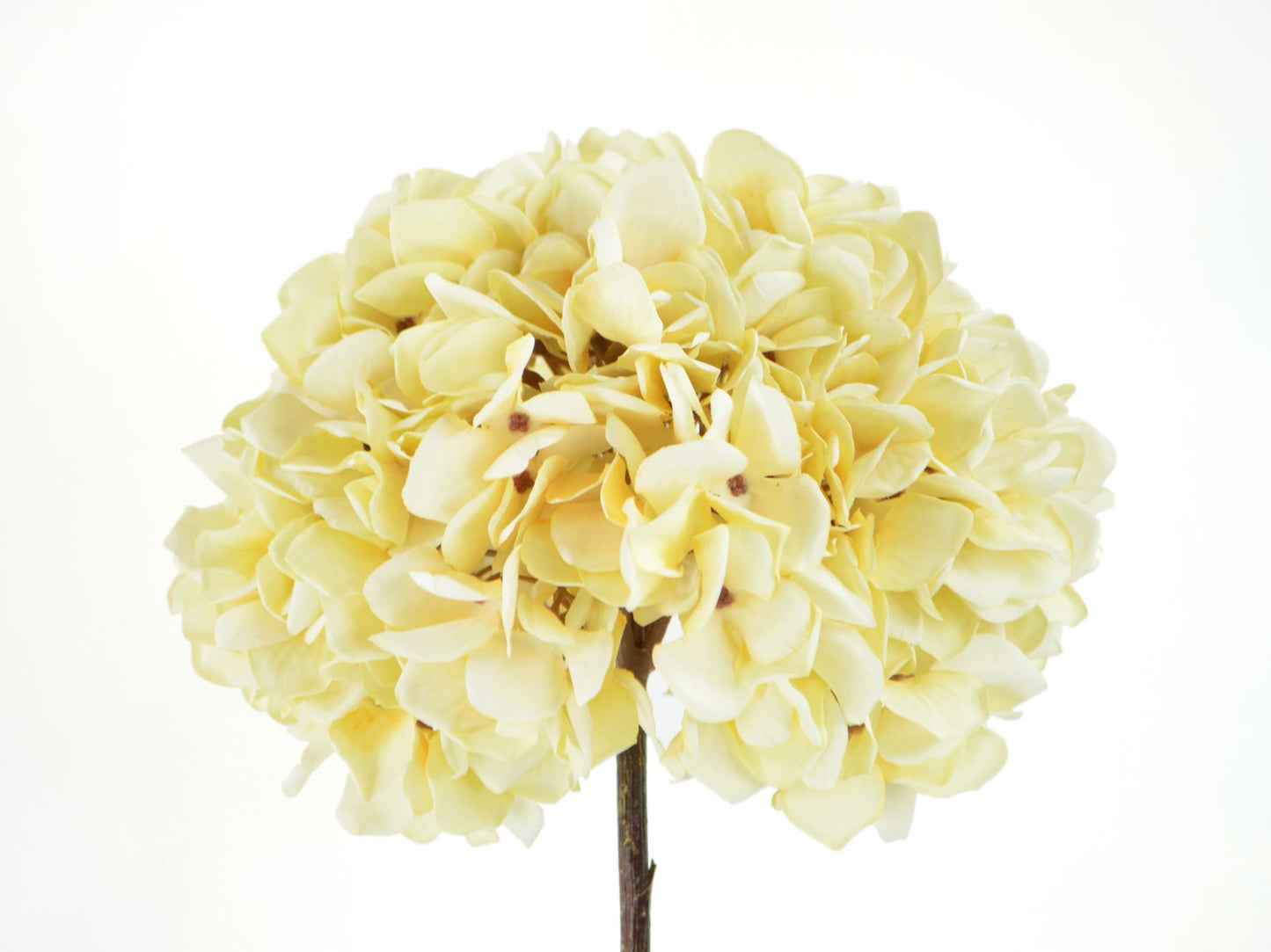 Seidenblumen Hortensienzweig Cremefarbe Seidenblume/Kunstblume