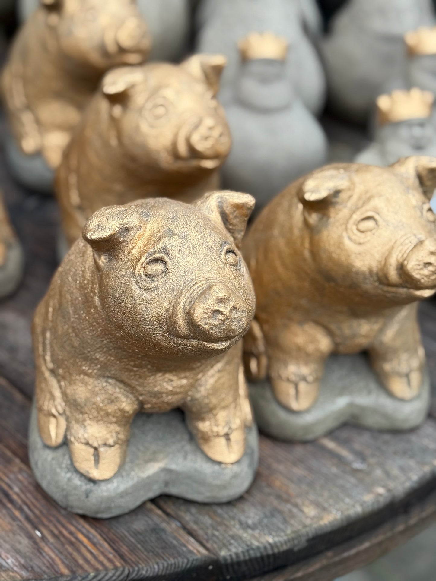 Max-das Ferkel Beton Gold