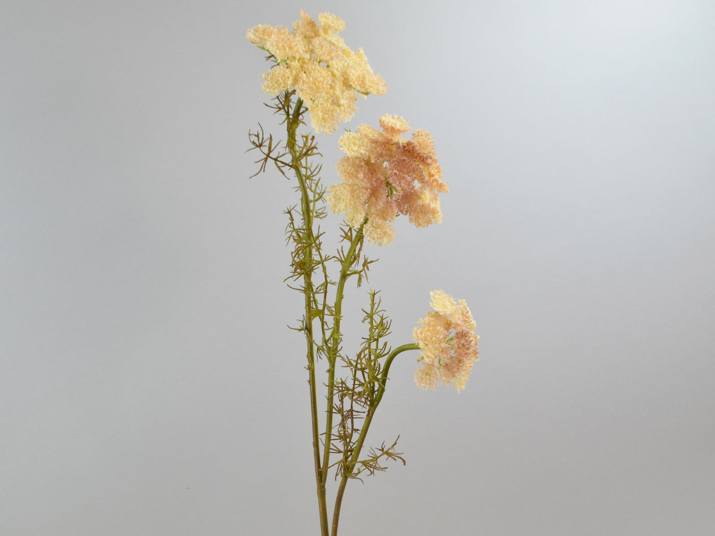 Seidenblumen Schafgabe Queen-Anne´s Zweig Creme Seidenblume/Kunstblume