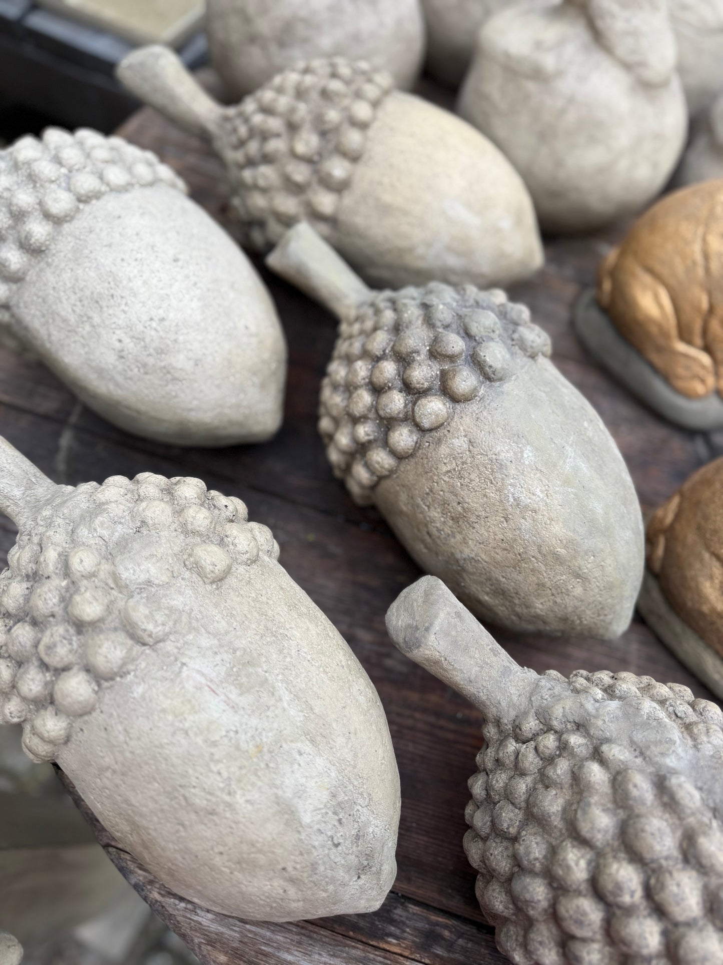 Nordische Eichel Beton Groß