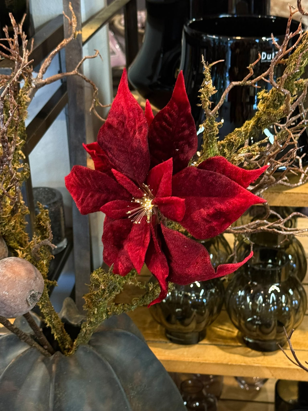 Weihnachtsstern Clip