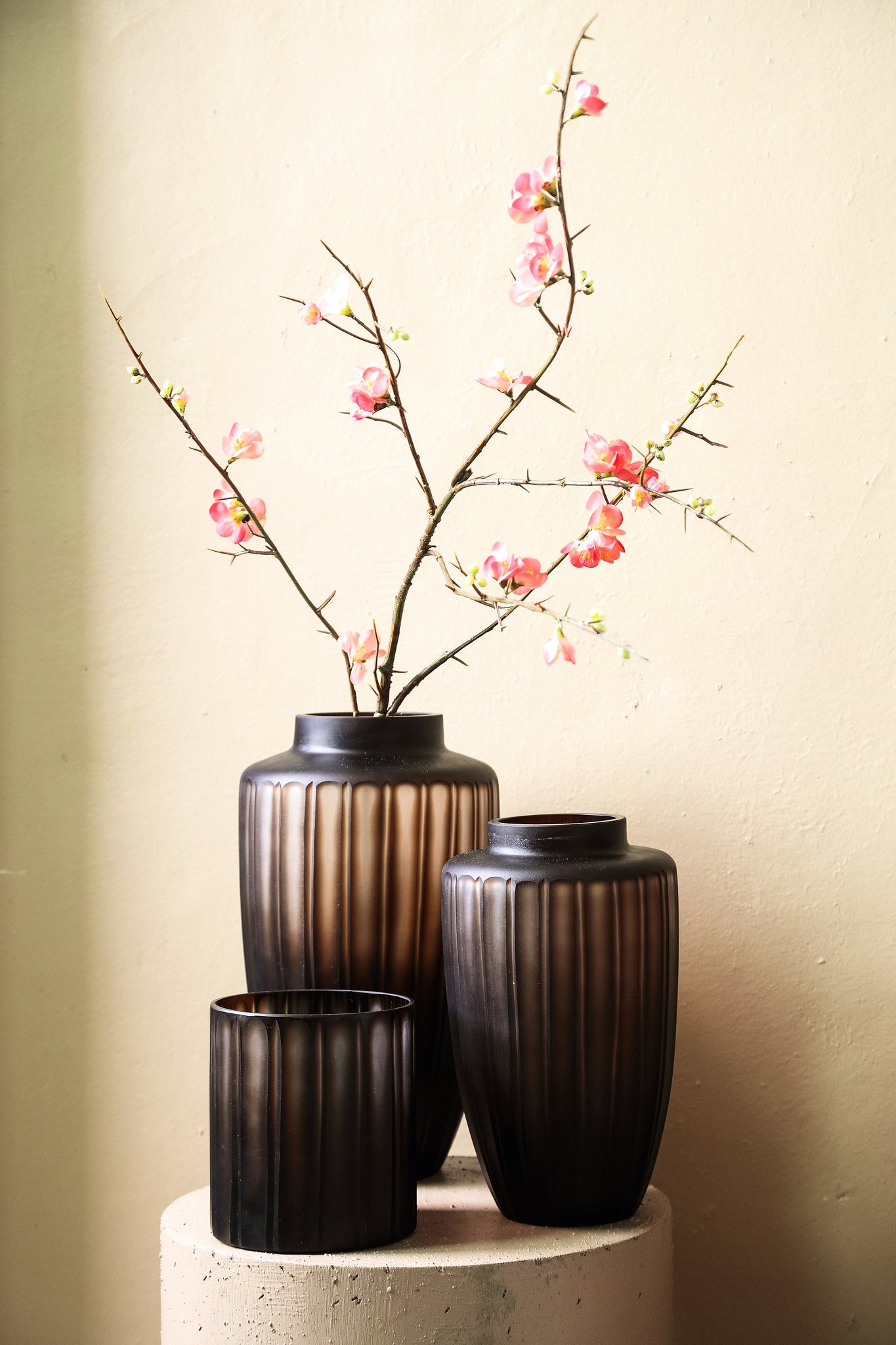 Linesa Vase verschiedene Größen