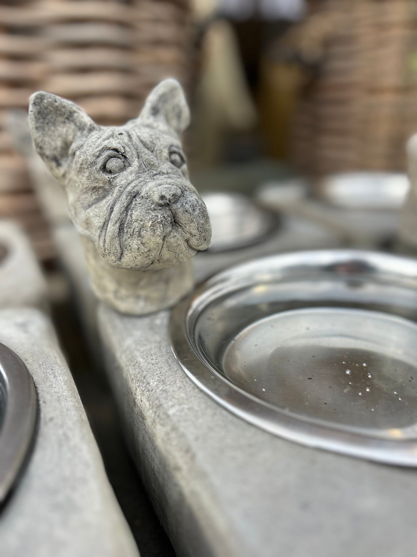 Hundenapf aus Beton verschiedene Ausführungen