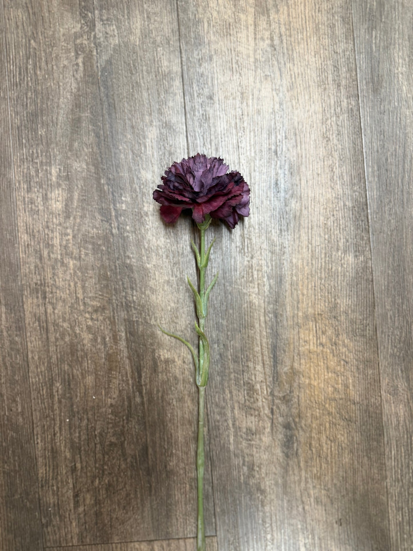 Seidenblume Nelke Pflaume
