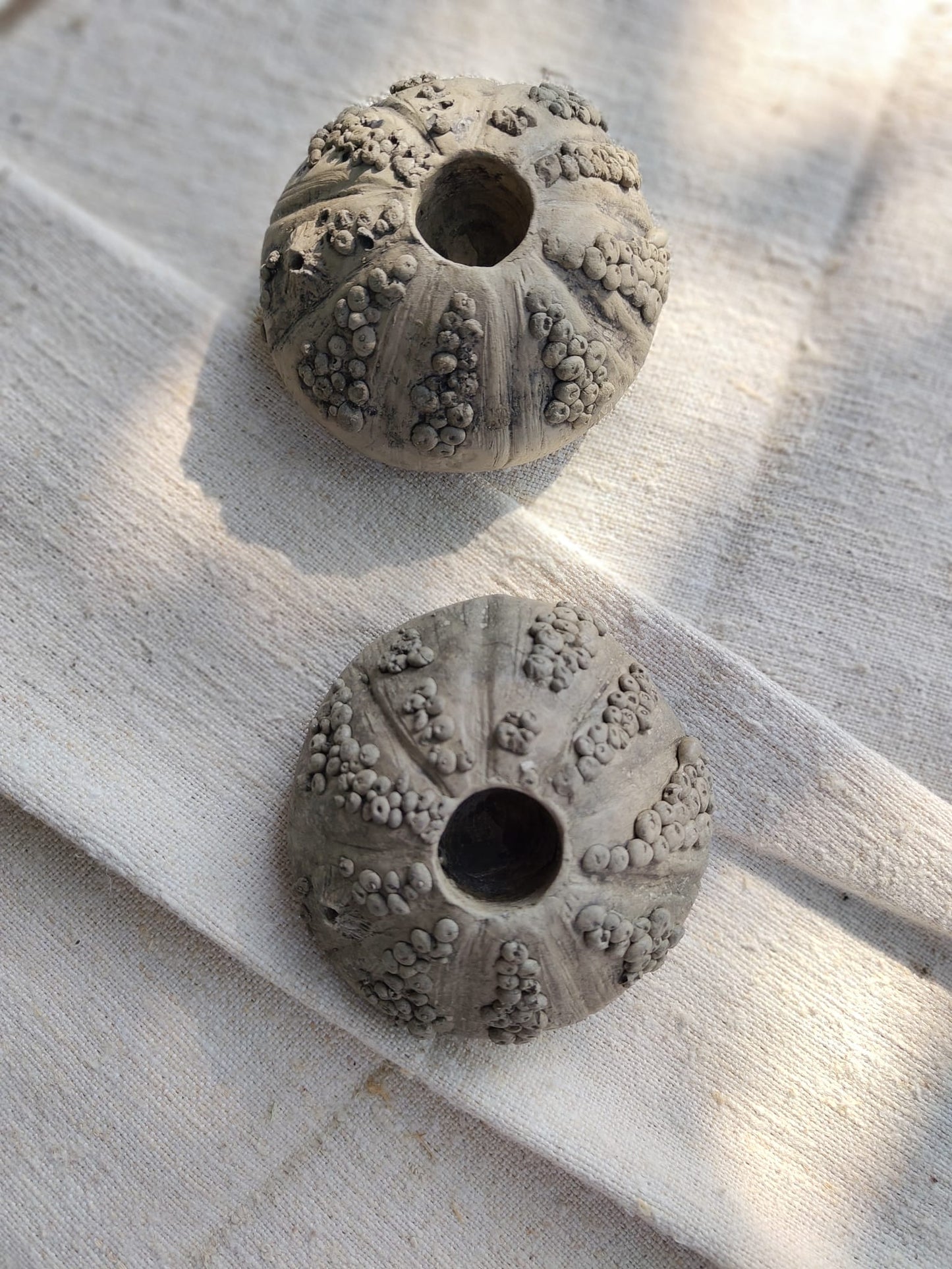 Gartenkunst Seeigel
