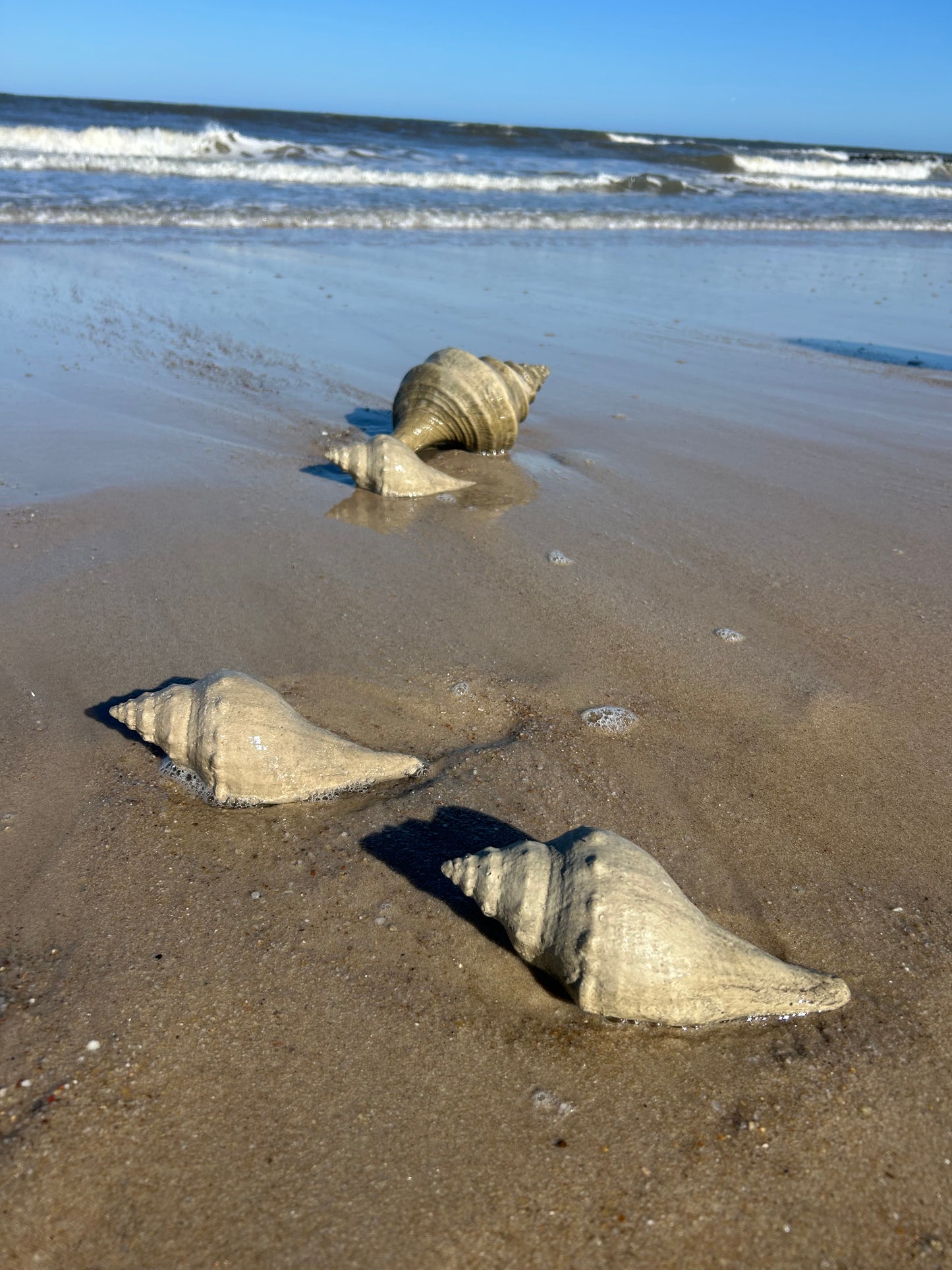 kleine Urlaubserinnerung🐚