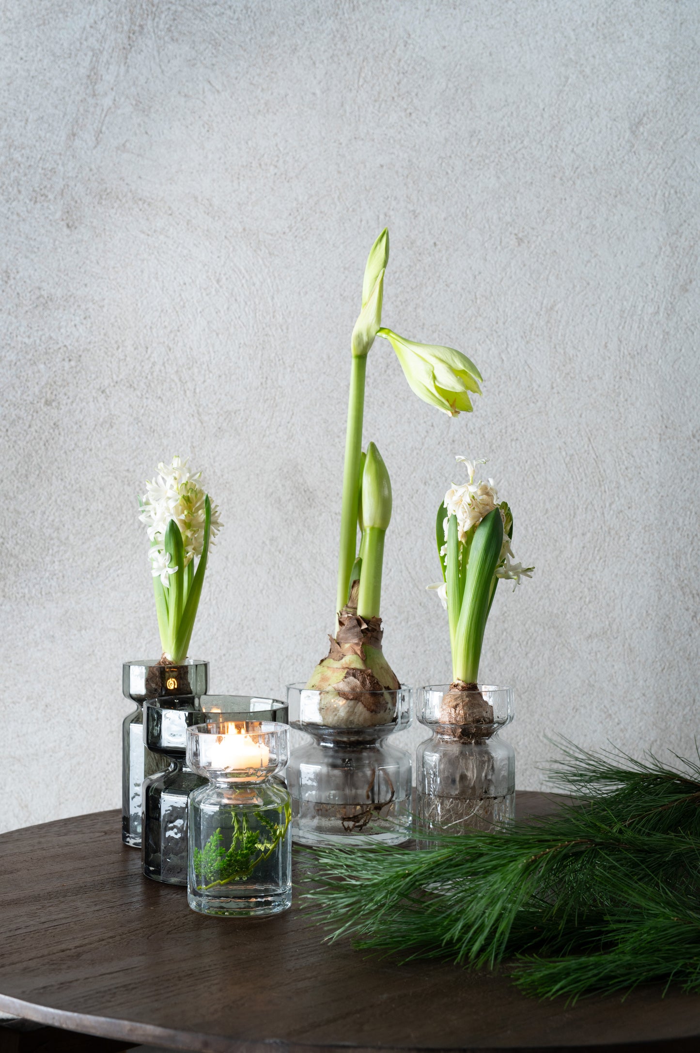 NIA Amaryllis Vase