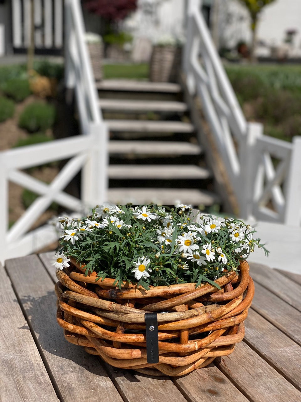 Rattan Korb / Pflanzschale Bowl Klein:Ø36 x H17 cm von A2 Living