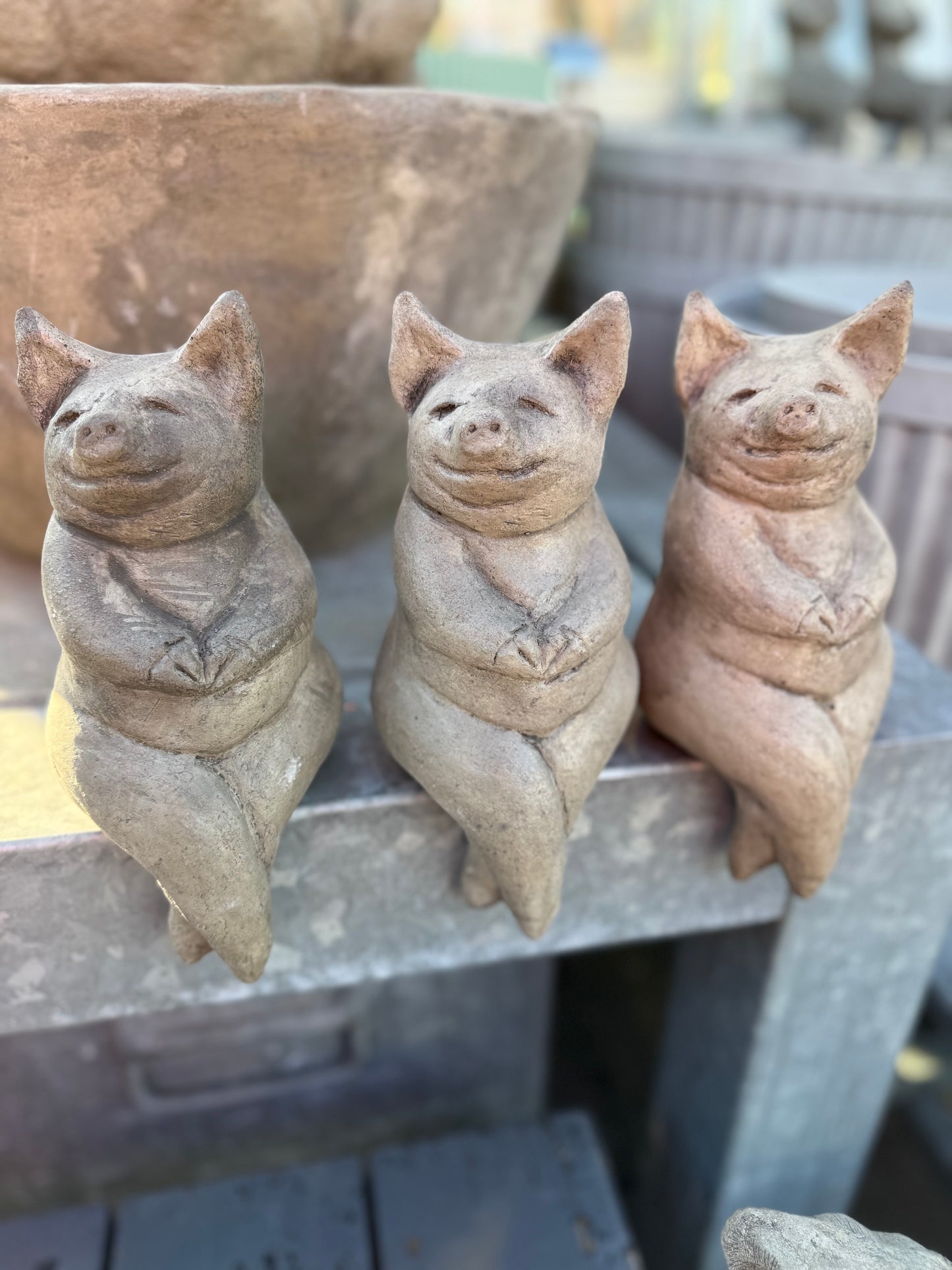 Schwein die Nachbarin (Preis für den Versand ist incl.)