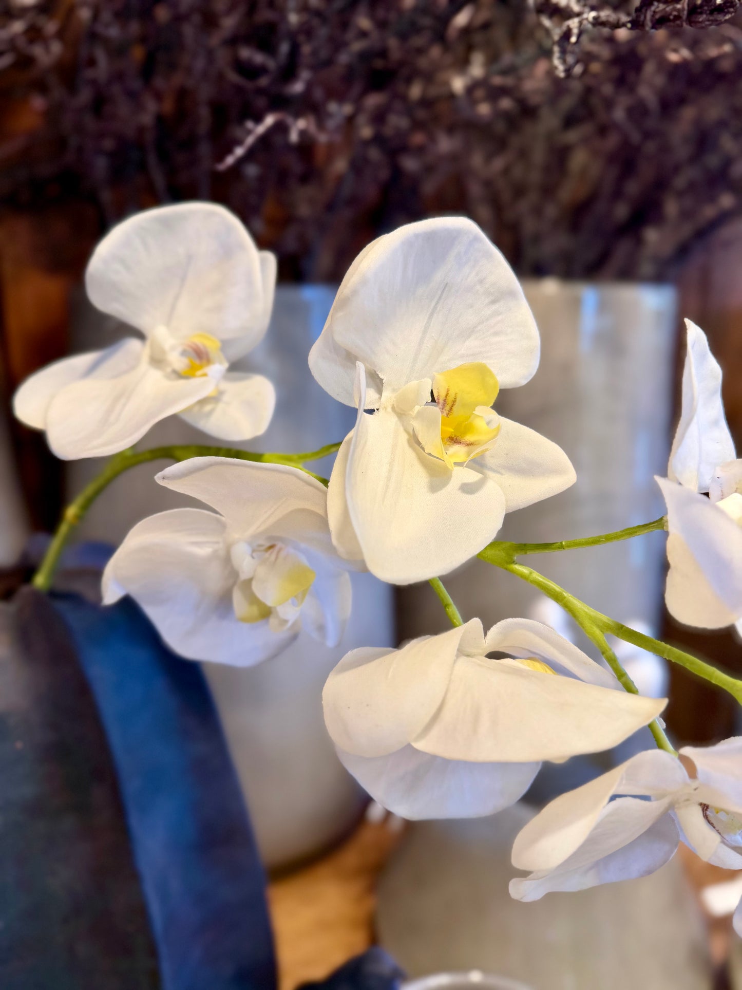Seidenblume Orchideenzweig