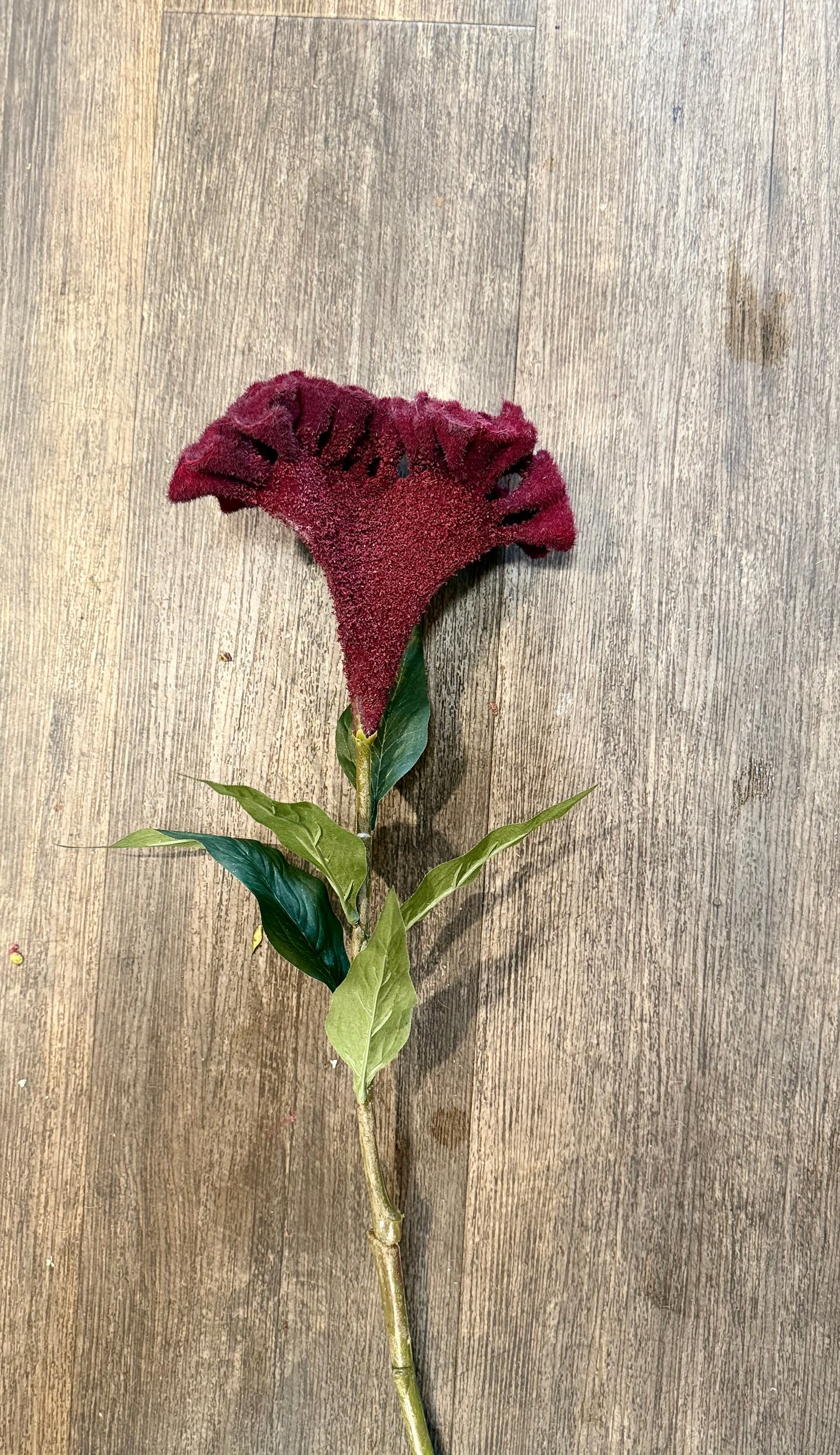 Seidenblume/Kunstblume Celosia Zweig