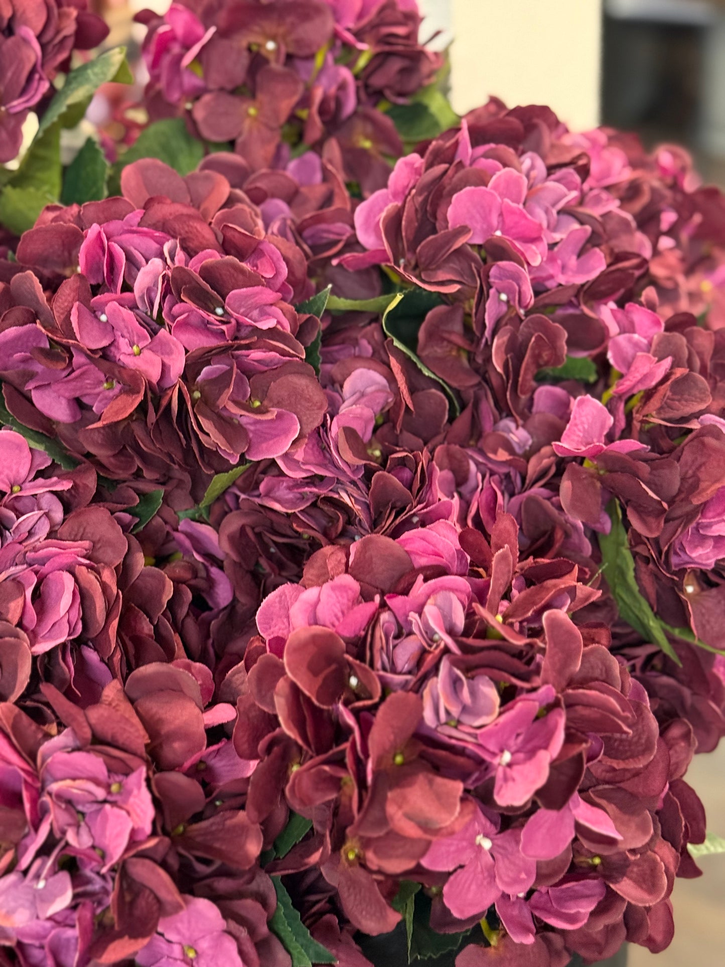 Seidenblume Hortensie Pflaume