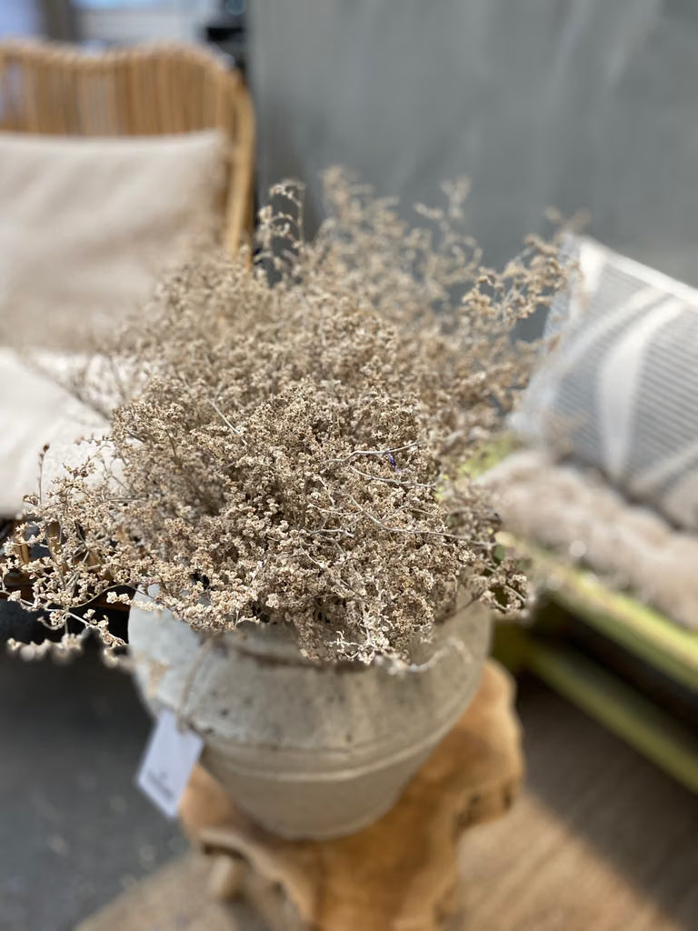 Bund getrockneter Limonium weiß