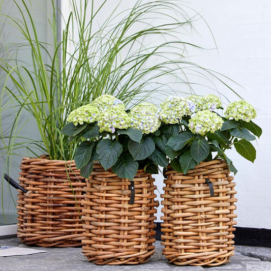 A2 Living Rattan-Korb rund Mini 32×40 cm
