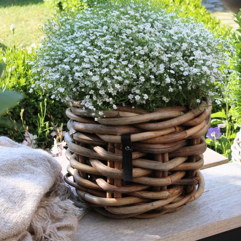 A2 Living Rattan-Korb rund Mini Low