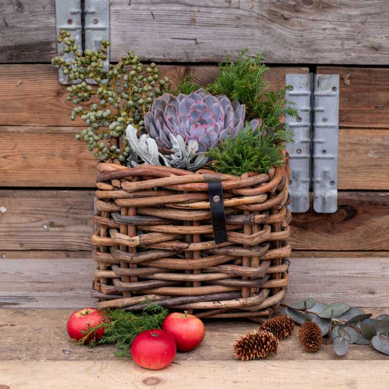 A2 Living Rattan-Korb eckig Mini Low