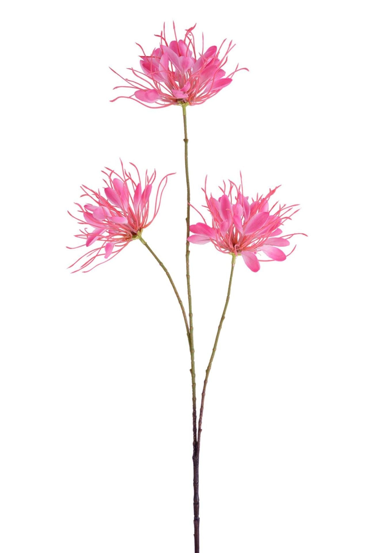 Seidenblumen/Kunstblume Spider Blütenast