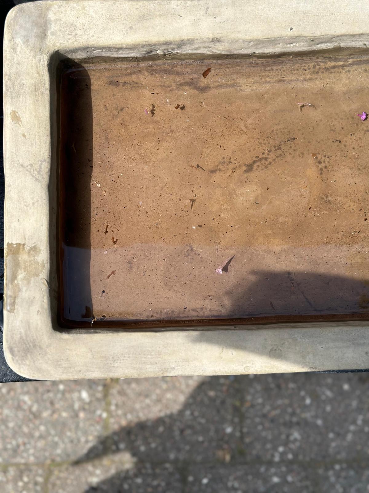 Vogeltränke /Wasserbecken