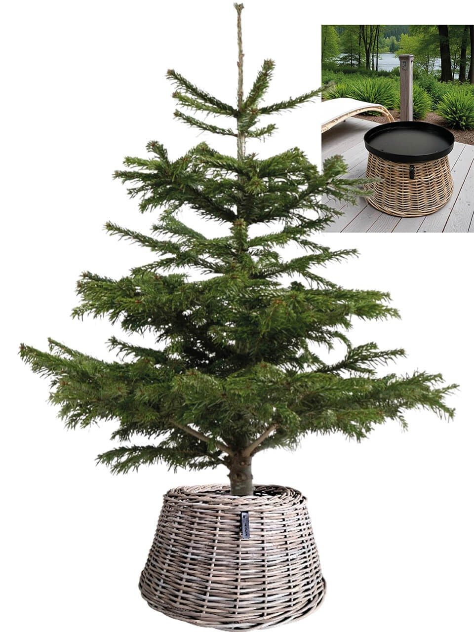 Rattankorb für Weihnachtsbäume (Versand erfolgt anfang November)