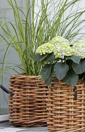 A2 Living Rattan-Korb quadratisch Maxi Low 41×39 cm