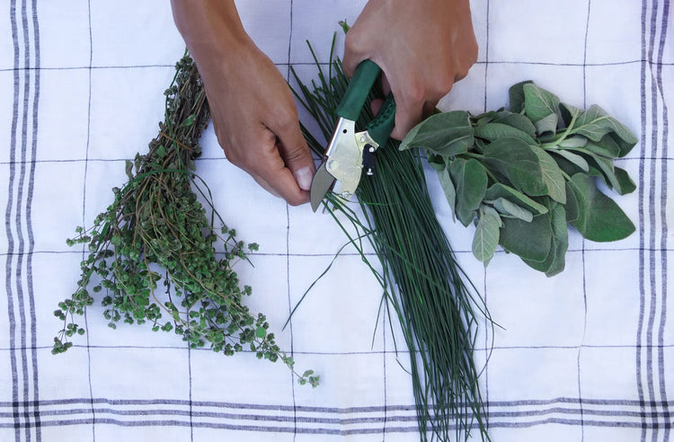 Chop Chop Bloom Scheren