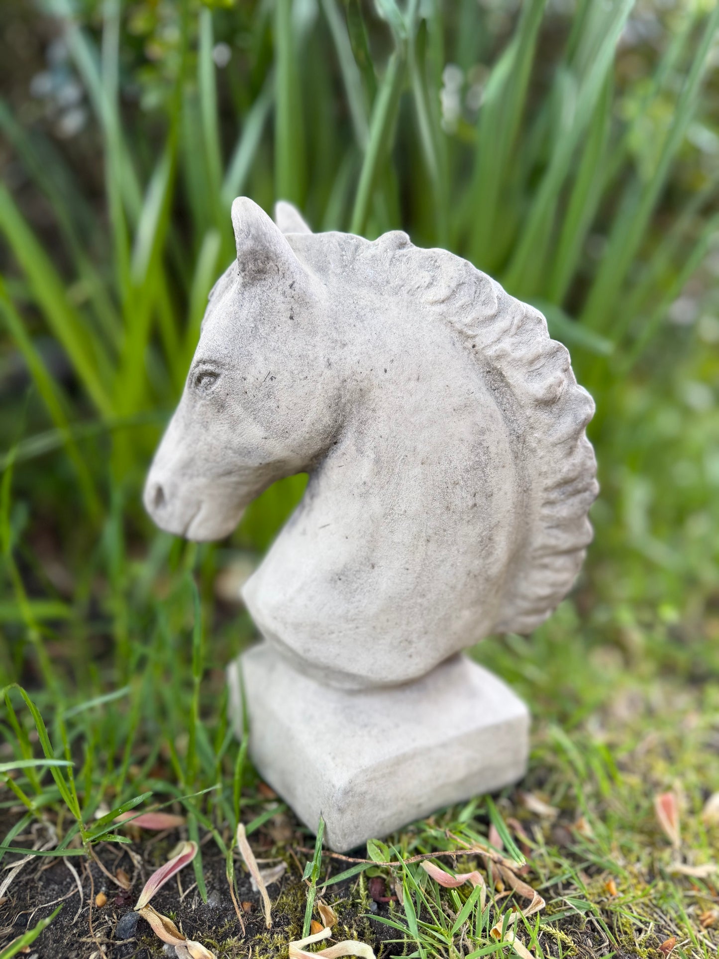 Gartenkunst Trakehner Bernadotte 🐴