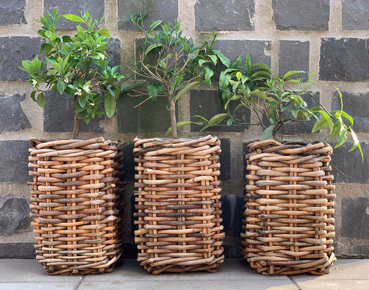 A2 Living Rattan-Korb quadratisch Mini 27 x 27 x 40 cm