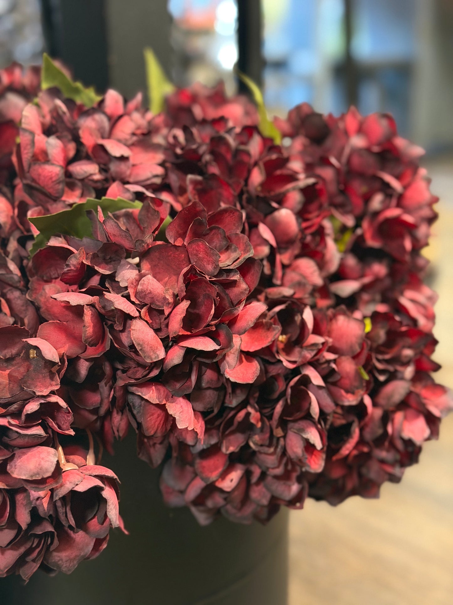 Seidenblume Hortensie kurz Pflaume