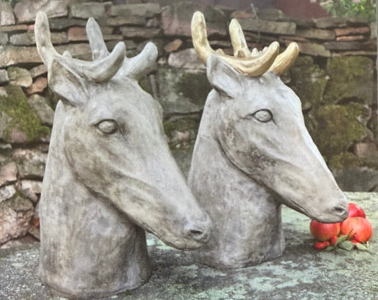 Der große Hirsch mit oder ohne Goldgeweih