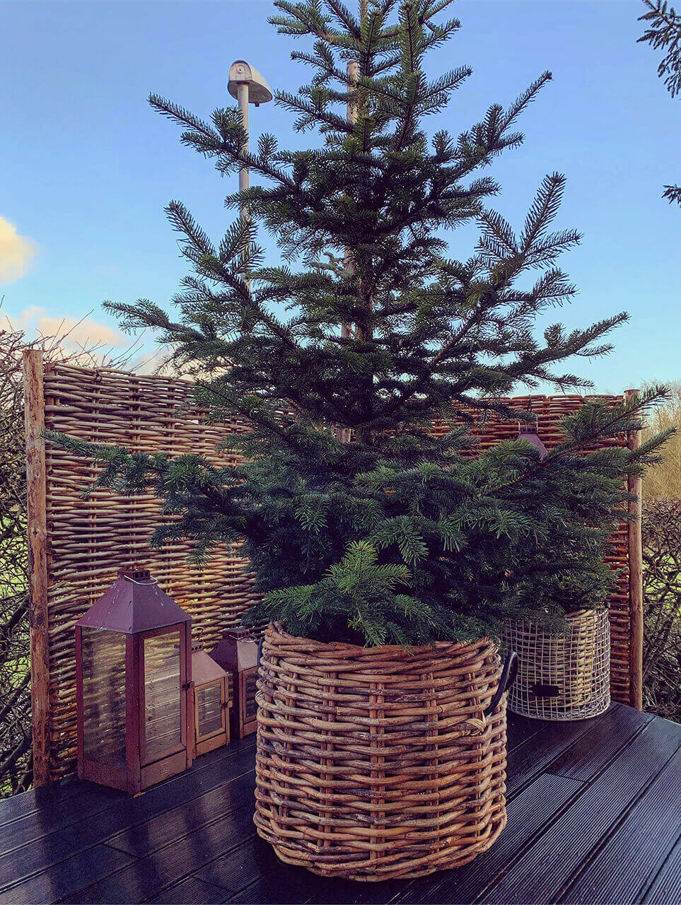 A2 Living Mega Low runder Rattankorb inklusive Fracht aus Dänemark