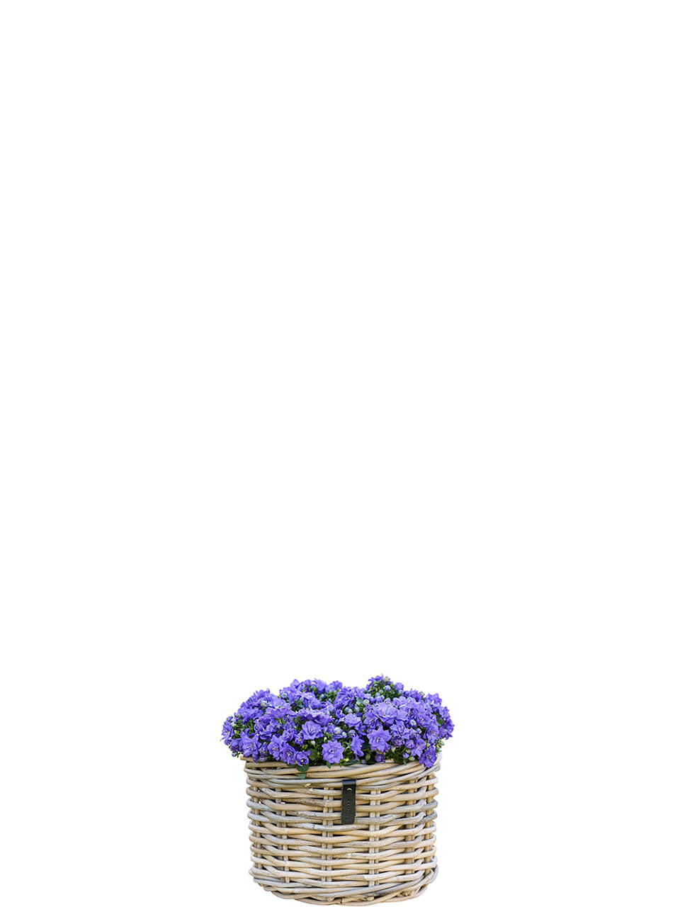 A2 Korb Mini Low Kubu Rattan Korb