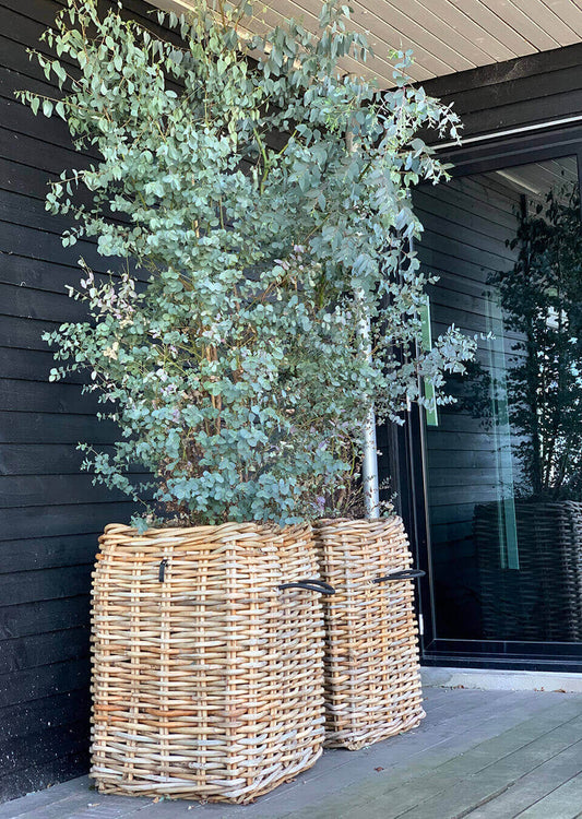 A2 Living eckiger Rattankorb Mega inklusive Fracht (1/2 Palette) aus Dänemark