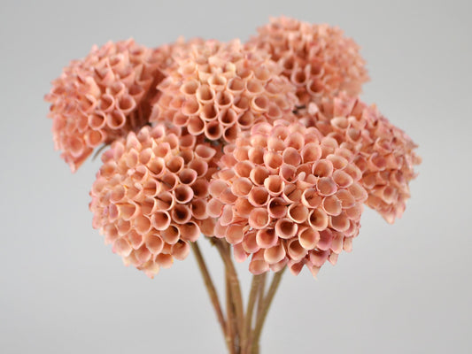 Seidenblumen Dahlien-Bund Zartrosa Seidenblume/Kunstblume