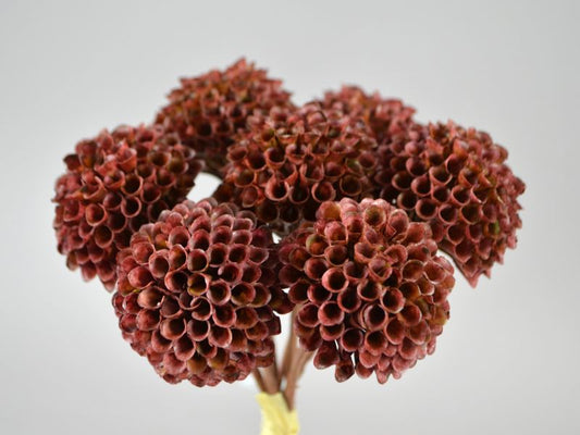 Seidenblumen Dahlien-Bund Burgund Seidenblume/Kunstblume