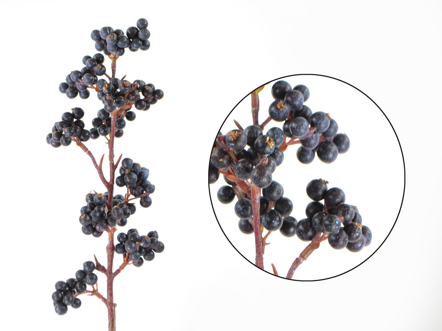 Seidenblume/Kunstblume Beeren-Pick in Pflaume