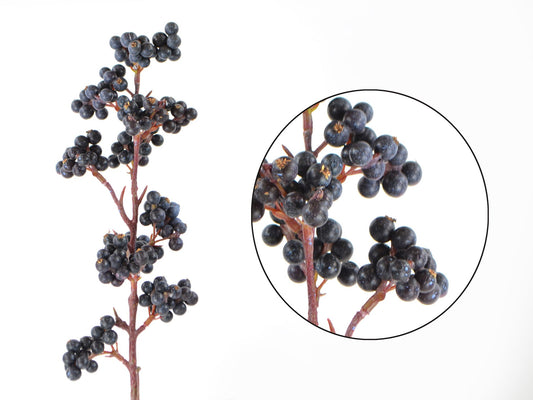 Seidenblume/Kunstblume Beeren-Pick in Pflaume