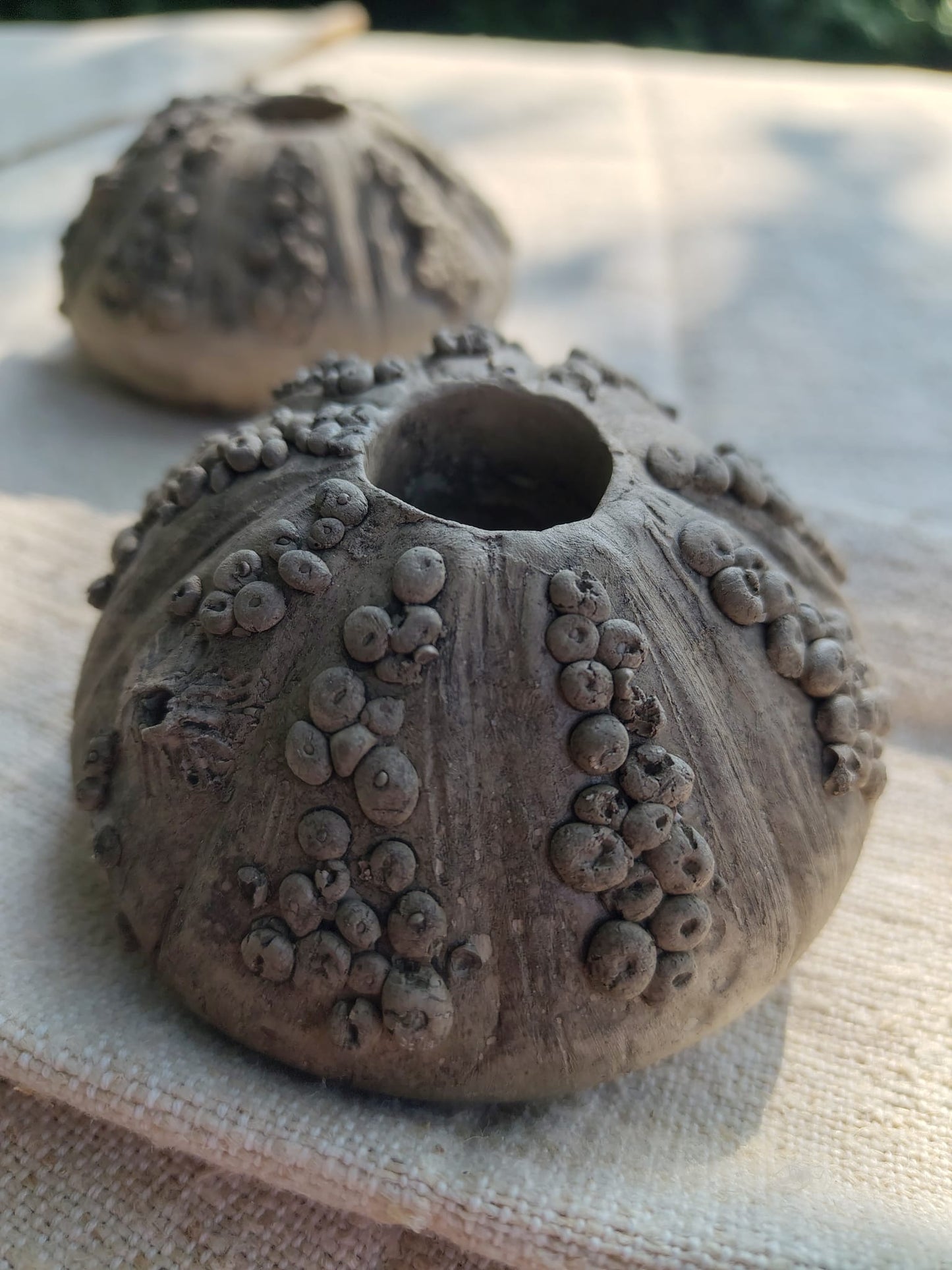 Gartenkunst Seeigel