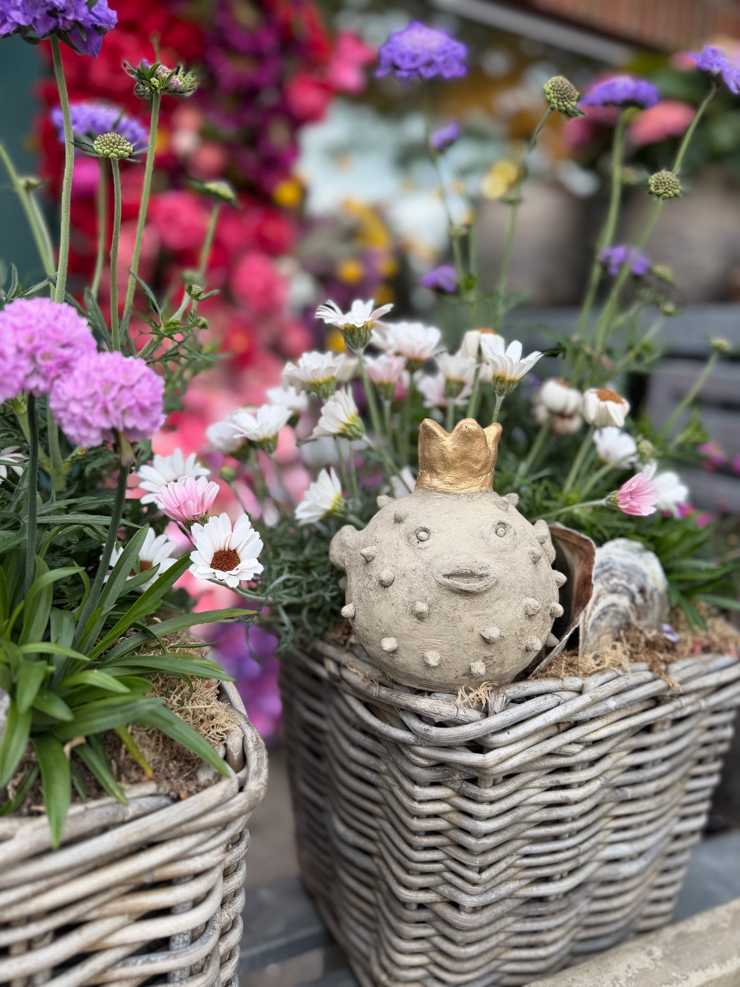 Gartenkunst Kaiserin Ki-Mono Kugelfisch mit Goldkrone