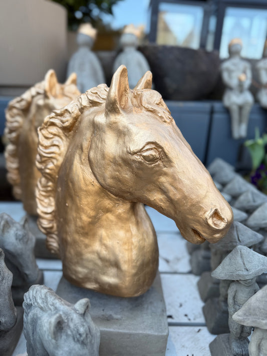 Trakehner Groß Gold Preis incl. Palette Fracht