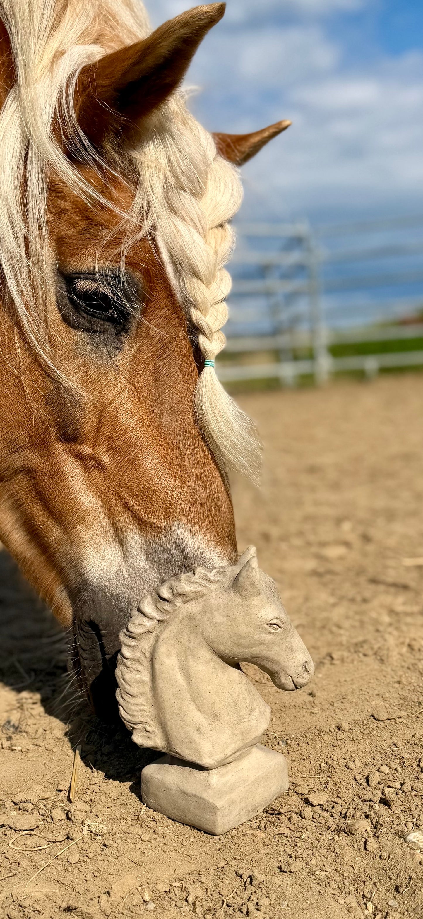 Gartenkunst Trakehner Bernadotte 🐴