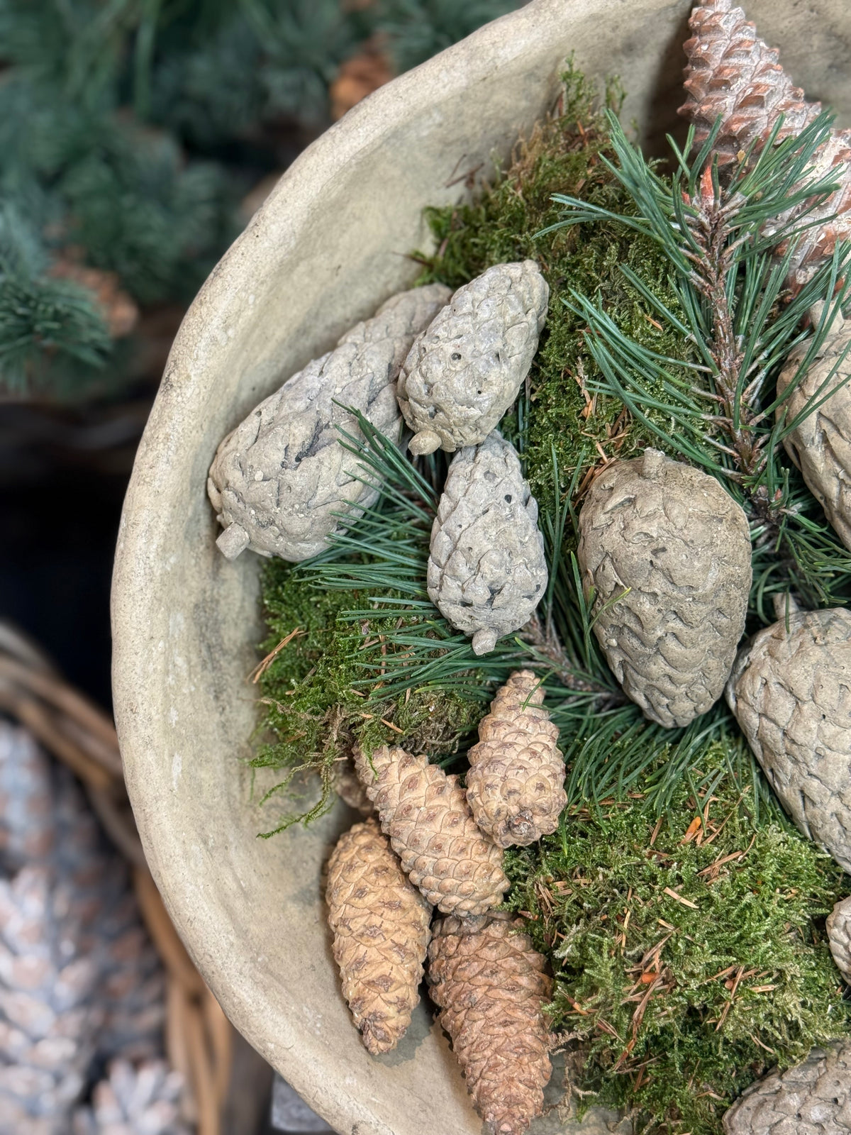 Gartenkunst Pinienzapfen‼️Lieferung erst ab Ende Oktober ‼️